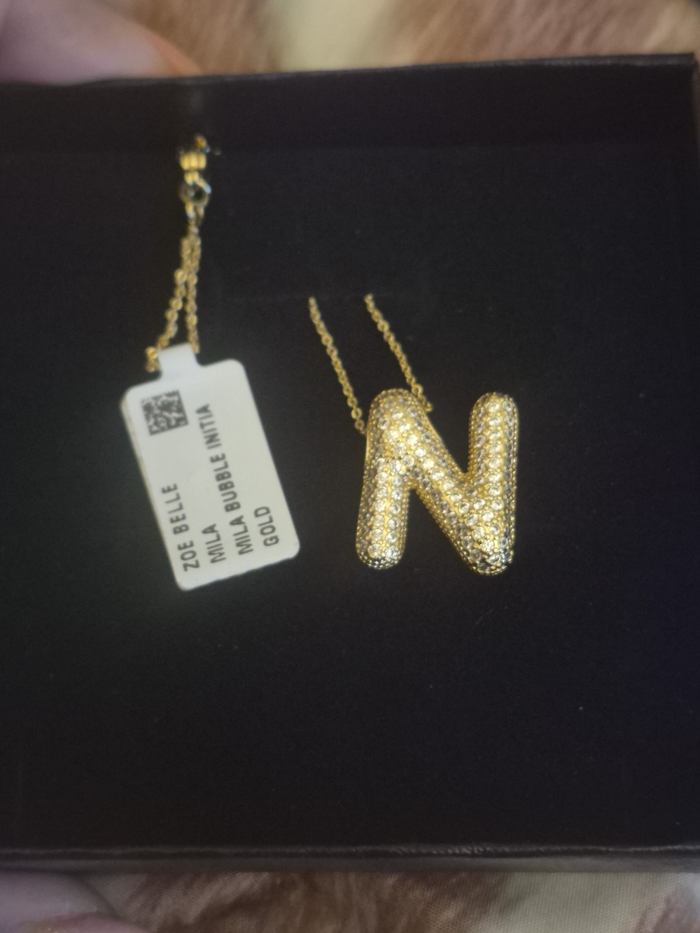 Zoe Belle Gold Pavé 'N' Initial Necklace